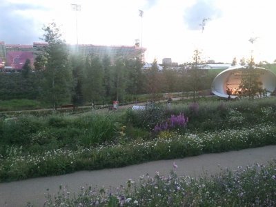 Blühende Landschaften.