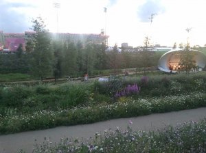 Blühende Landschaften.